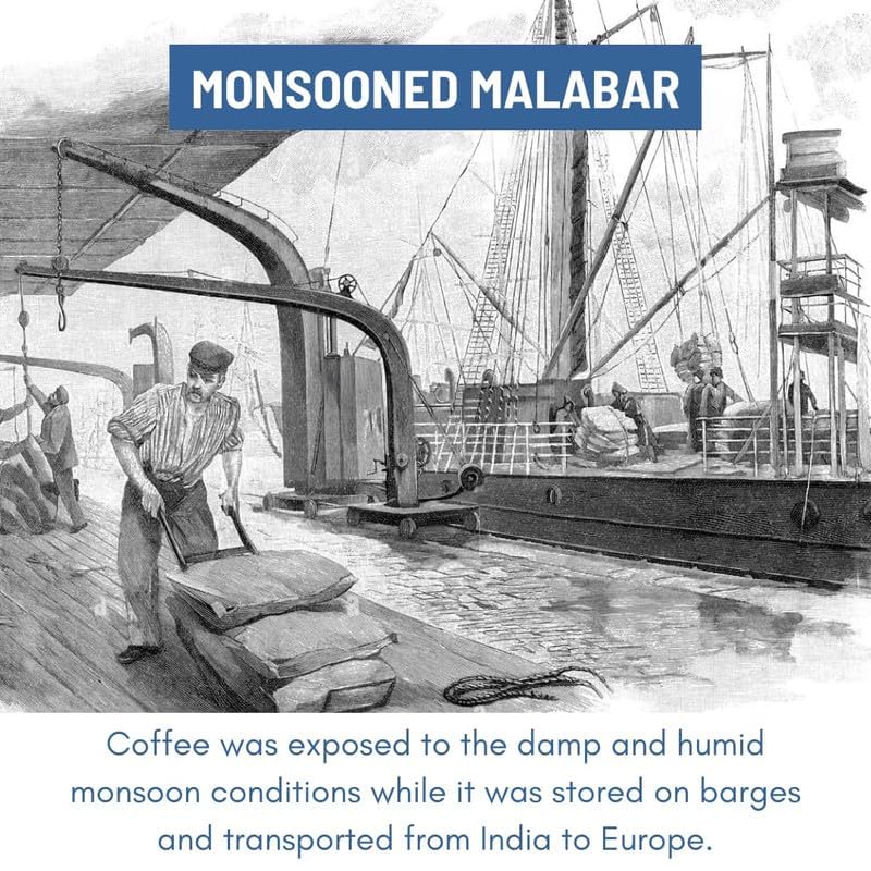 Image of Toffee Coffee Roasters | Monsooned Malabar, Light to medium Roast, 1000 g | Grind: Pour Over, Single Origin, 100% Arabica | Speciality Coffee | Freshly Roasted