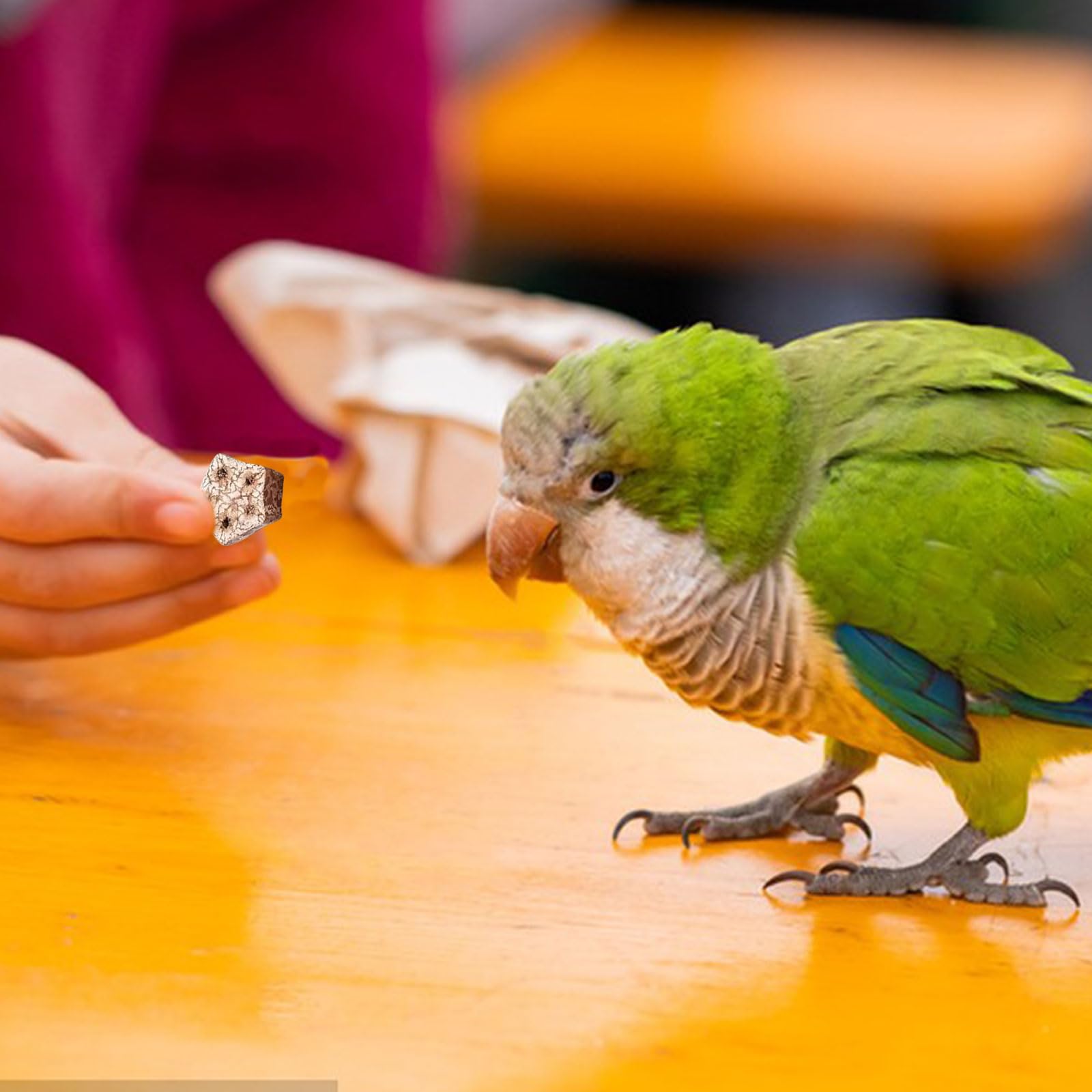 Bird Chewing Foraging Toys - Image 2
