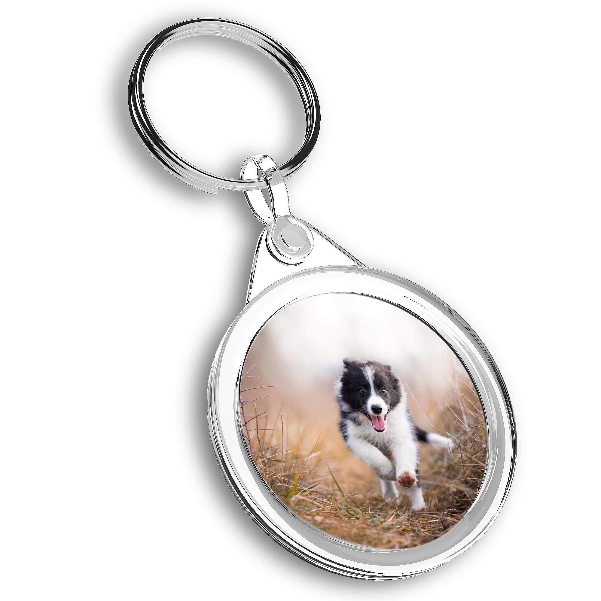 Destination Vinyl Ltd 1 x Photo Keyring - Happy Border Collie Puppy Dog |Keychain|Keyring|Charm| #45286