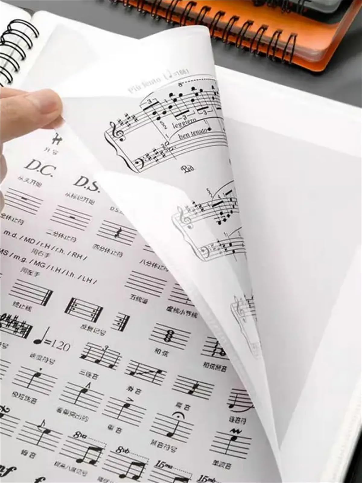 Carpeta de partituras Piano A4, partición musical, carpeta for musicales, libro hojas música en expansión cuatro páginas Para Partituras(Purple)