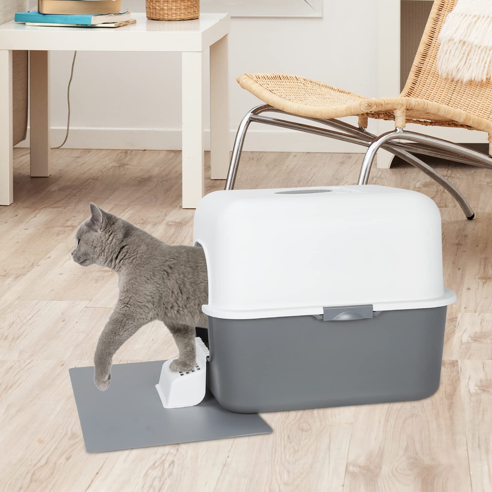 Buy Cat Litter Box with Lid,Top Entry Kitty Sifting Litter Box Kitten Toilet for 10lb Cats