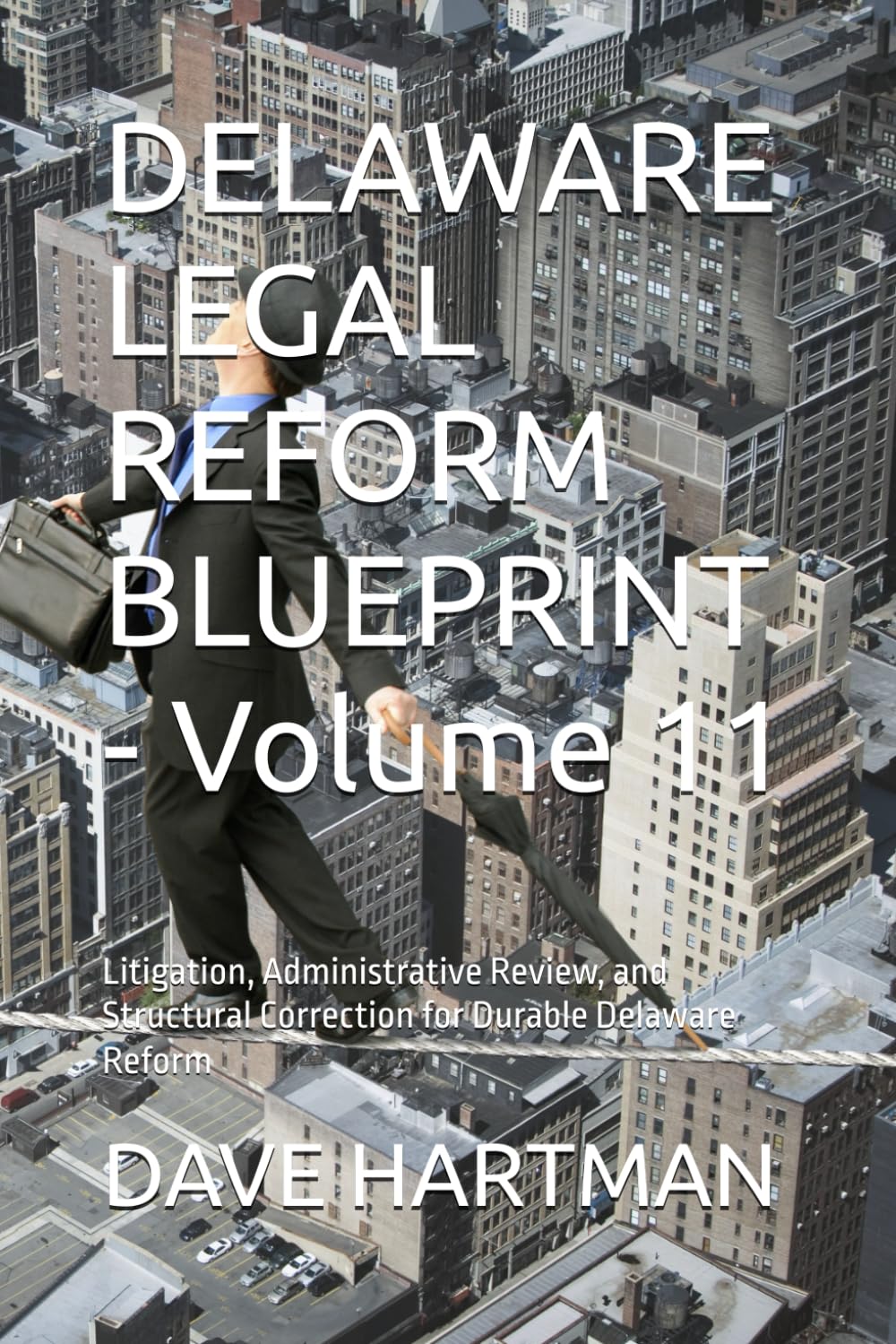 DELAWARE LEGAL REFORM BLUEPRINT - Volume 11: Litigation, Administrative Review, and Structural Correction for Durable Delaware Reform: 13 (Delaware Legal Reform Series)