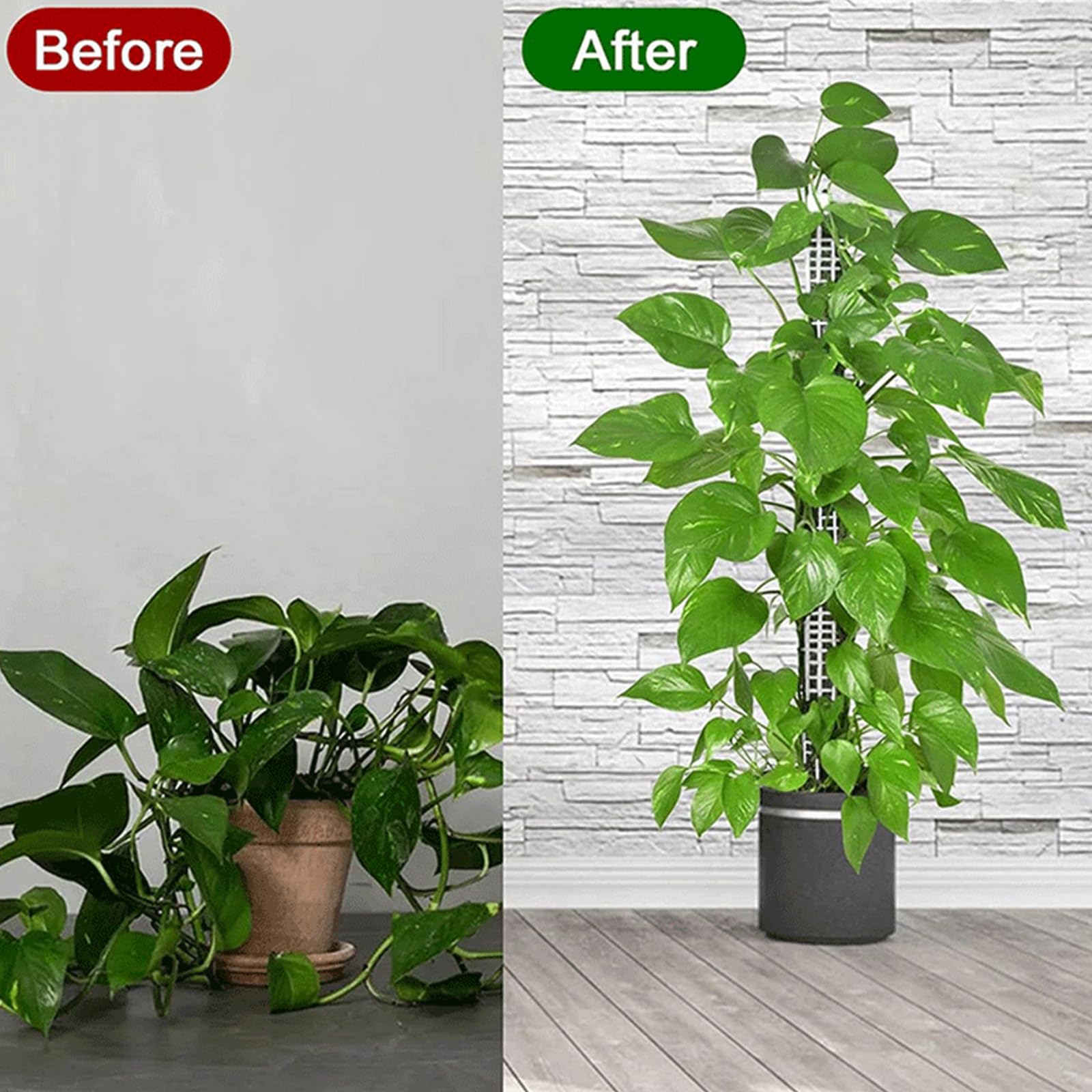 Moosstab Für Pflanzen 65 cm stapelbare Pflanzenstütze | Mesh-Design Indoor Pflanzenstäbe Für Innen Außen Balkon Garten Orchidee Ranke
