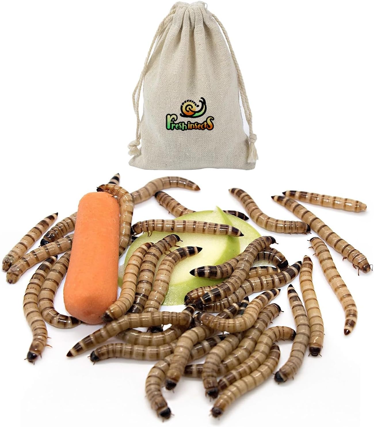 Premium Live Superworms - Bearded Dragon Food, Super Worms for Bearded Dragon, Live Fishing Bait and More - 100 Super Worms, Live and Nutrient-Rich