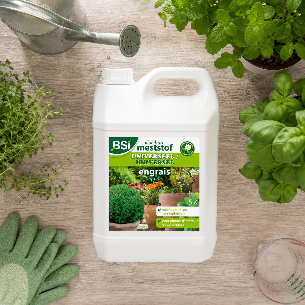 BSI - Engrais - Plantes d'Intérieur Ou Balcon - Universel - Liquide - Avec Oligo-éléments Et Chélates - 5L, Aucune