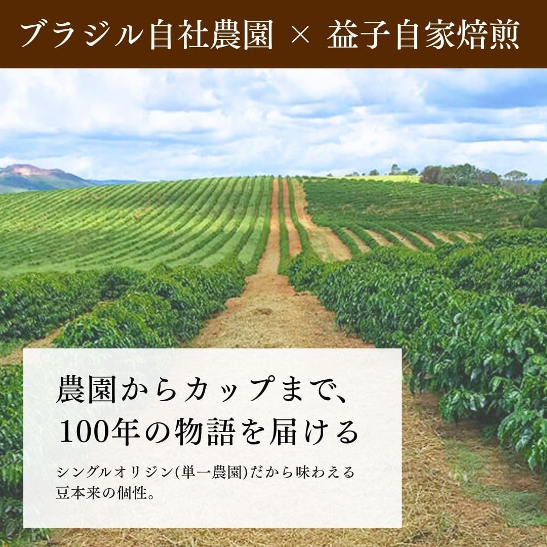 益子珈琲 【お得 2袋セット】 カフェファゼンダ ソンニョ ベルデ 250g×2…