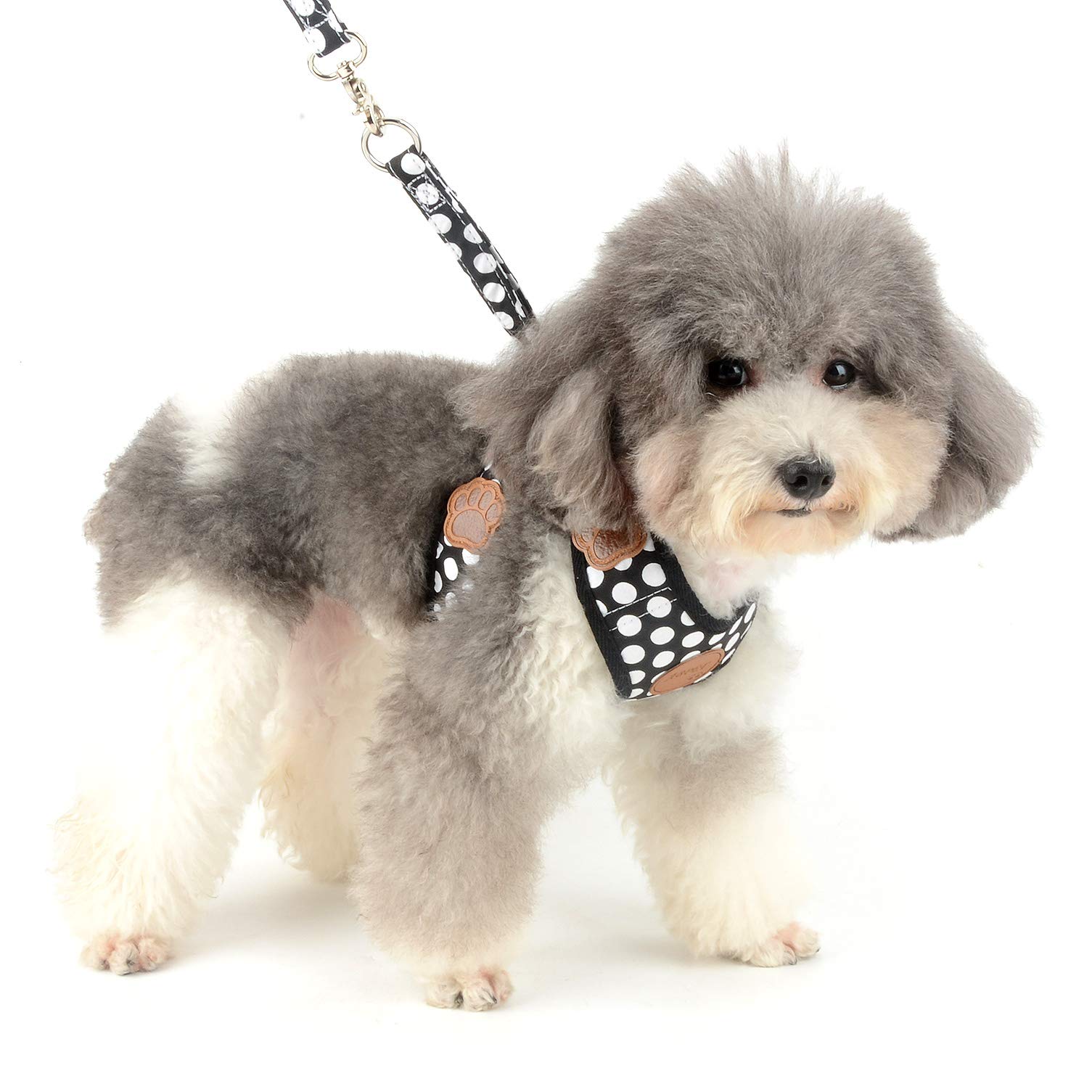 Amazon | SMALLLEE_LUCKY_STORE ペット犬 猫 用 ハーネス ドット柄