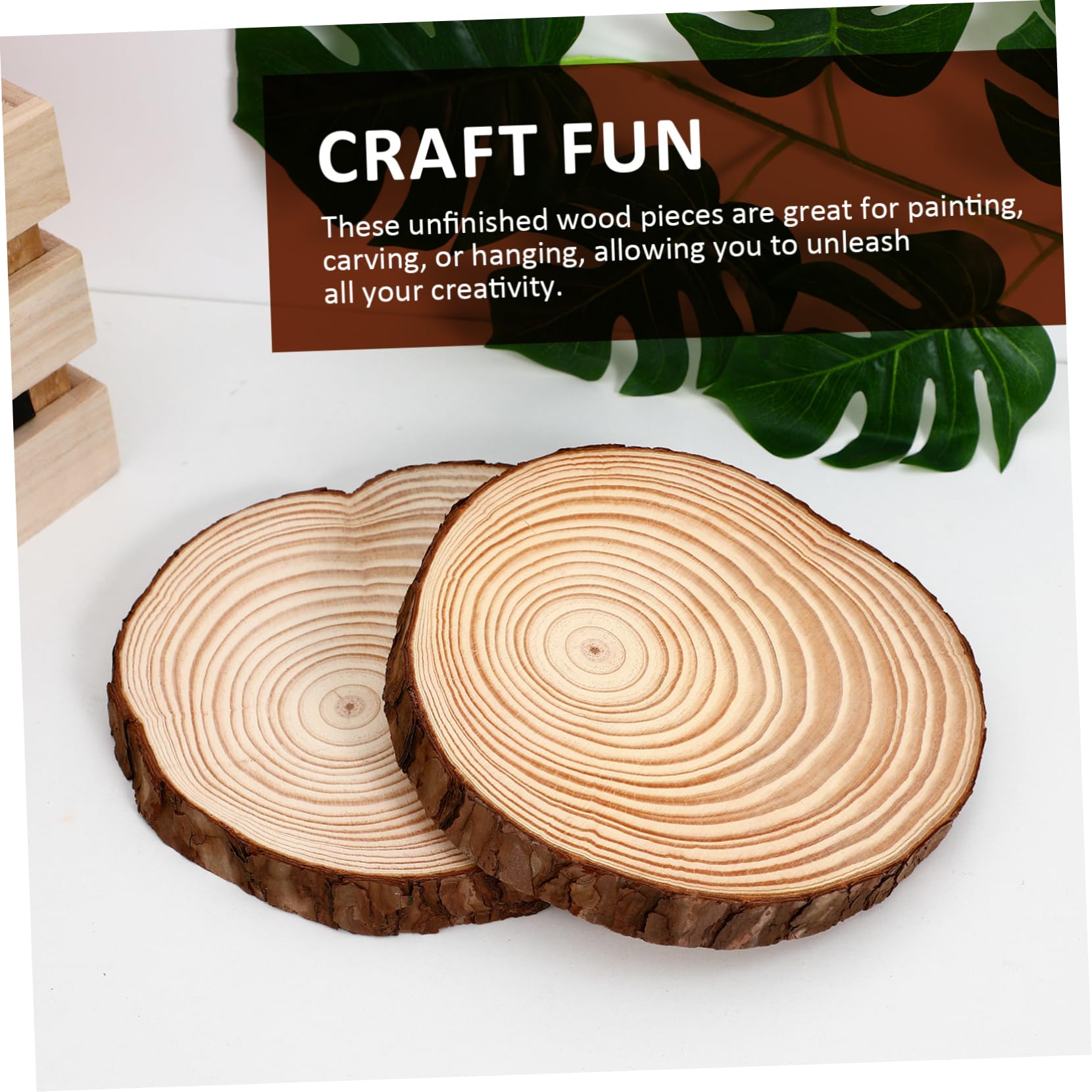 2 Stück Unbemalte Runde Holzscheiben mit Rustikalem Natürlichem Look Vielseitig als Bastelgrundlage für Hochzeiten und Holzdekoration Geeignet