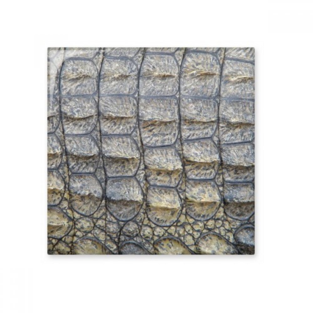 Carreaux céramique murale crocodile - Bisque de salle de bain et cuisine - 1 pièce