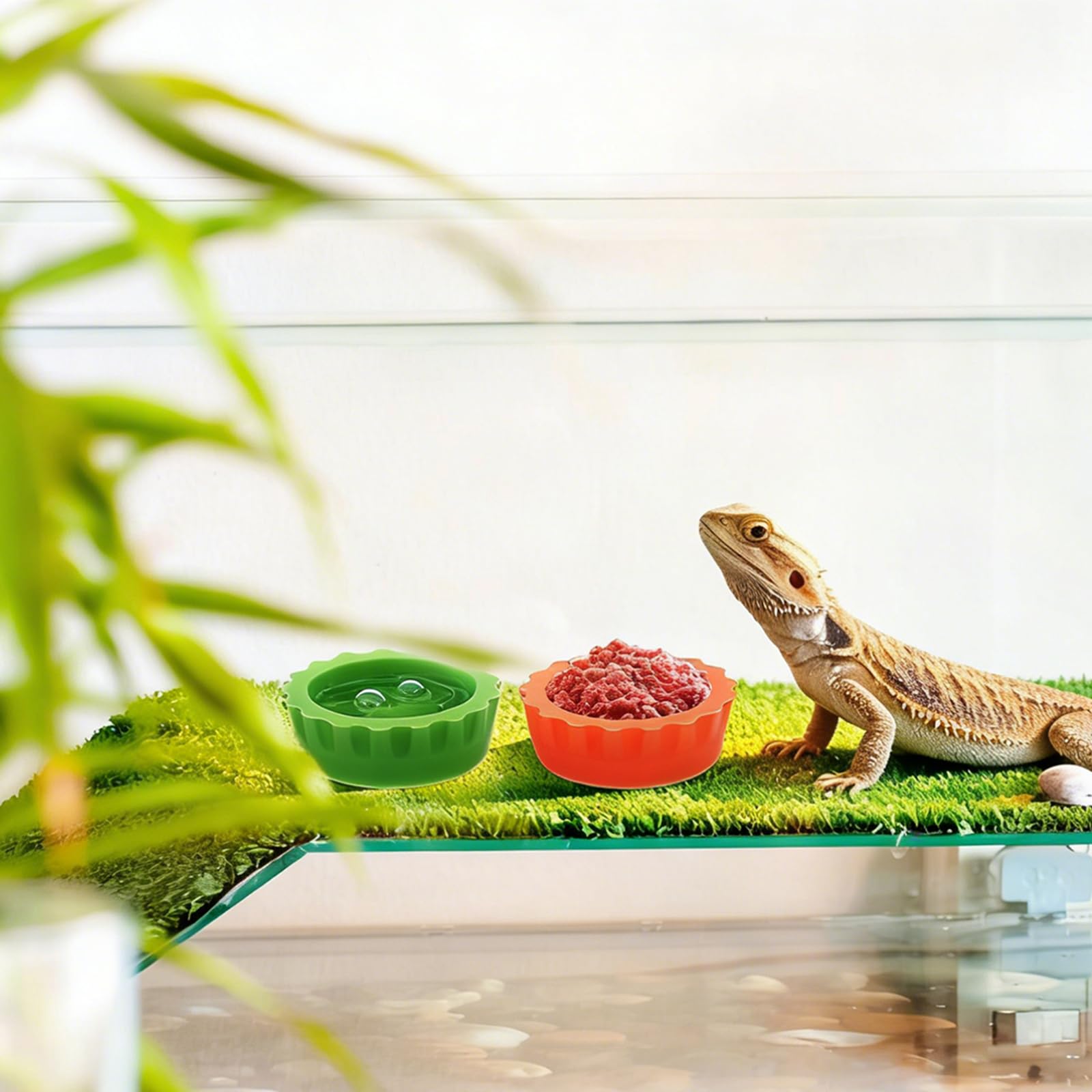 12 STK Silikon Kronengecko Wasserschale Terrarium Kleine Futter Und Wassernapf Für Reptilien, Leicht Zu Reinigendes, Bunte Terrarium Zubehör Für Bartagamen, Schildkröten, Krabben Und Kleine Haustiere