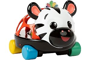 Baby Einstein Curious Car Zen Oball Toy Car & Rattle