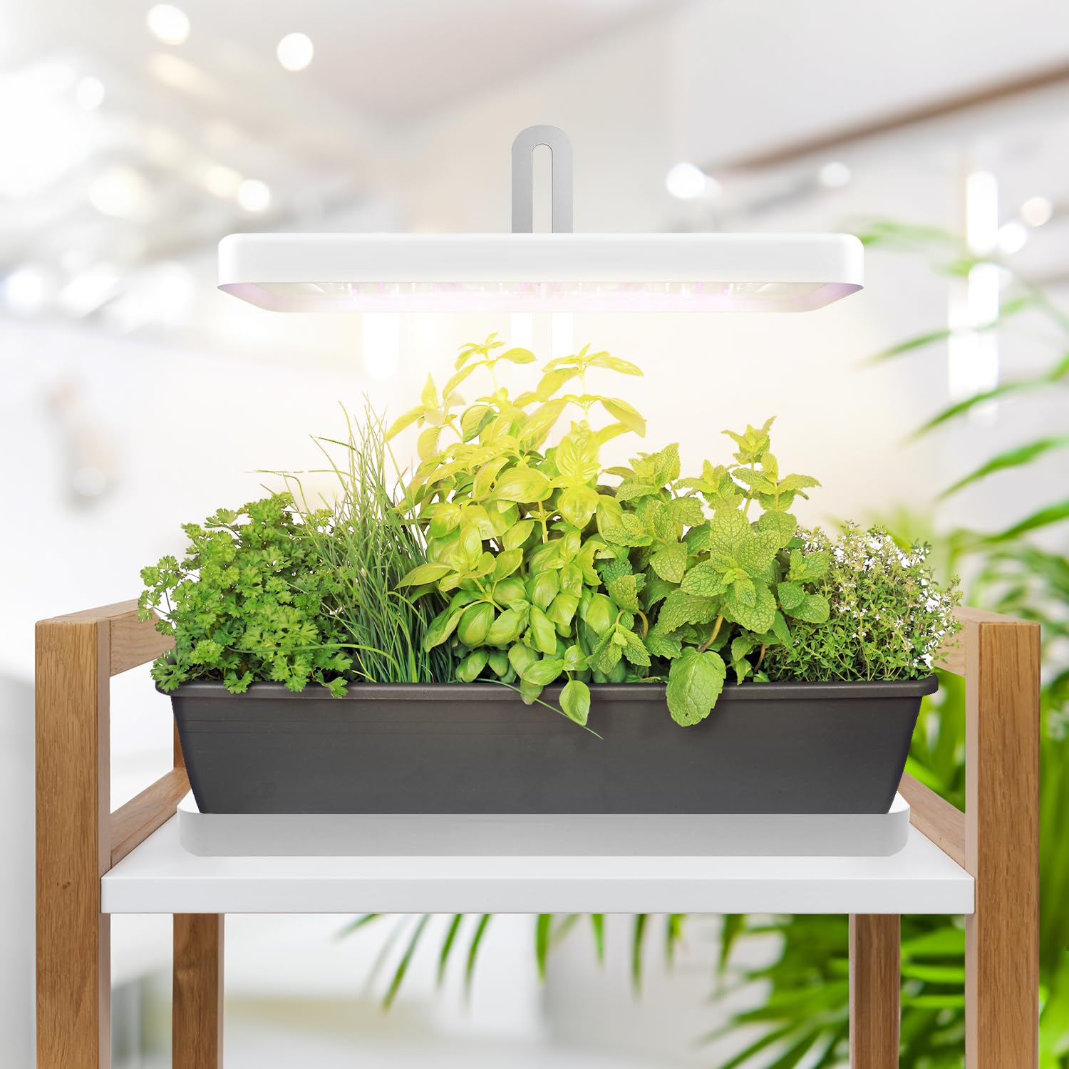 LED BLOOM 20W Pflanzenlampe LED, Vollspektrum Pflanzenlicht für Zimmerpflanzen, Höhenverstellbares LED- PflanzenwacSB-Laden (BLOOM 20W)