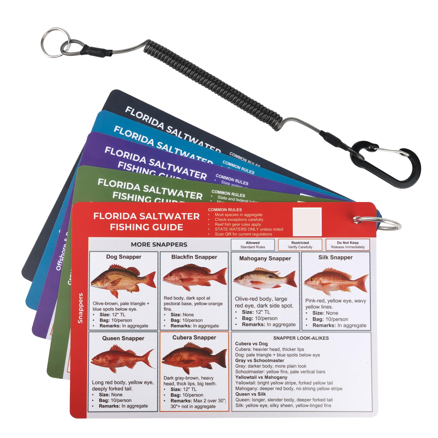 2026 Florida Saltwater Fishing Guide Cards - 5 Double-Sided PVC Fish|Shark Identification & Size Limits Quick Reference Cards with FWC Rules