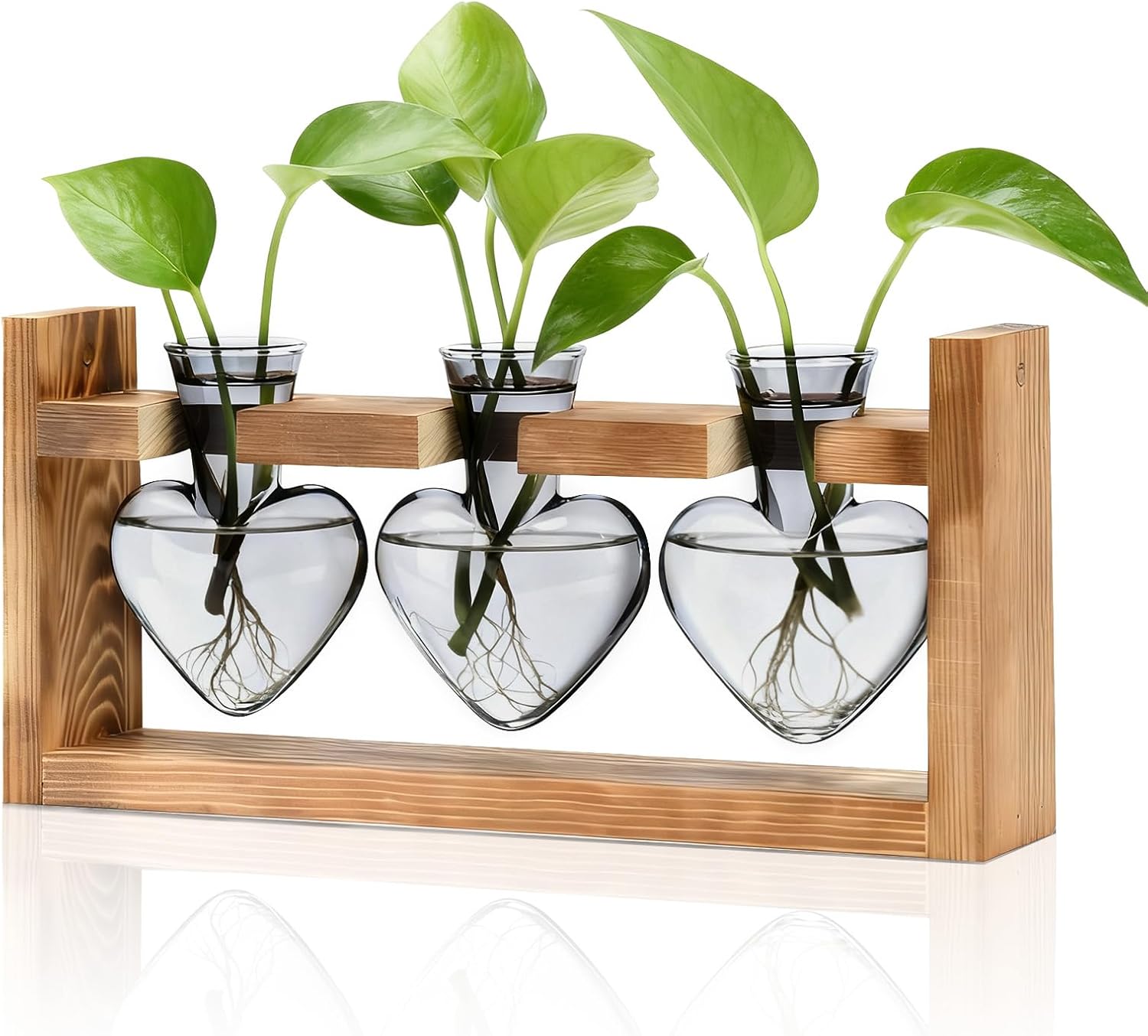 Nacome Plant Terrarium Propagation Stations: Mothers Day Gifts for Mom Plant Lovers Women Wife Daughter - 3 Bulb Glass Vase with Wooden Stand Tabletop for Hydroponics Home Garden Decor(Gray)