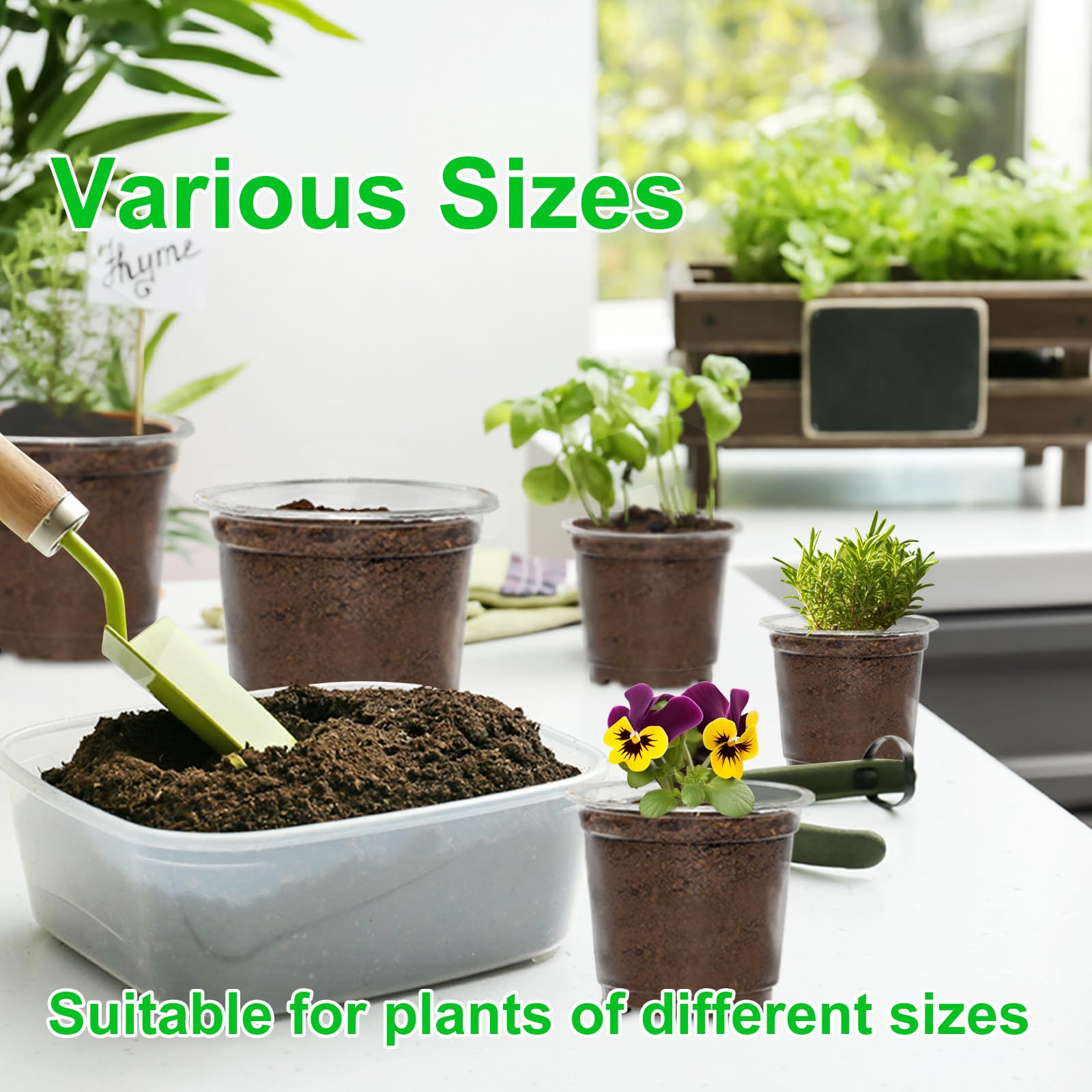 JERIA Paquete de 30 macetas Transparentes de 6/5/4 Pulgadas con Agujeros de Drenaje, macetas Transparentes para Plantar, macetas de plástico Transparente, Maceta Duradera para Plantas suculentas