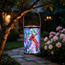 MUMTOP Cardinal Solar Lantern, Hanging Glass Outdoor Garden Light