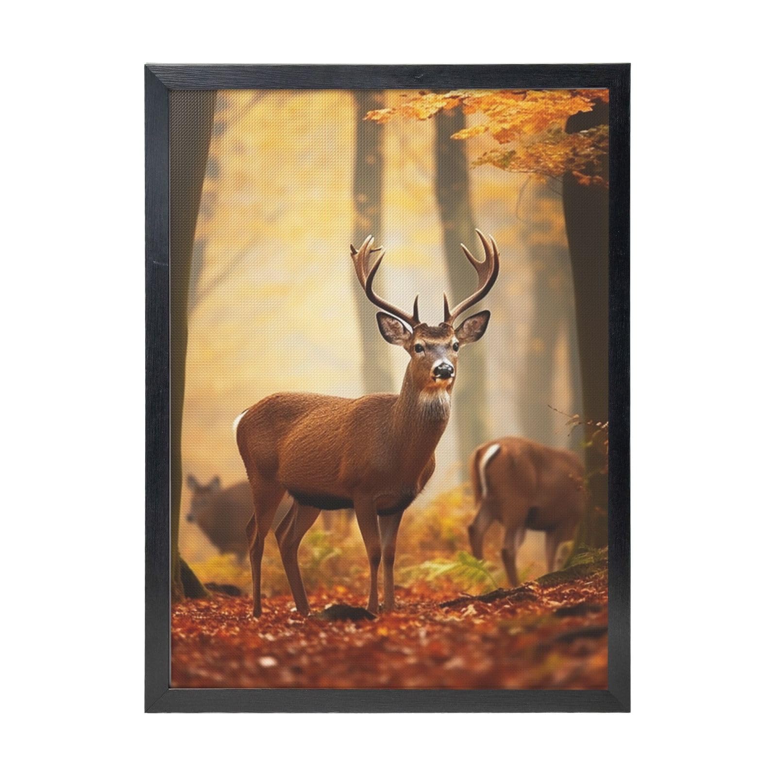 Framed Wall Art - Decorative Canvas Painting White Tail Deer Pictures Poster Aesthetic Modern Prints Artwork for Bedroom Office Wall Decor Ready To Hang 12x16 in
