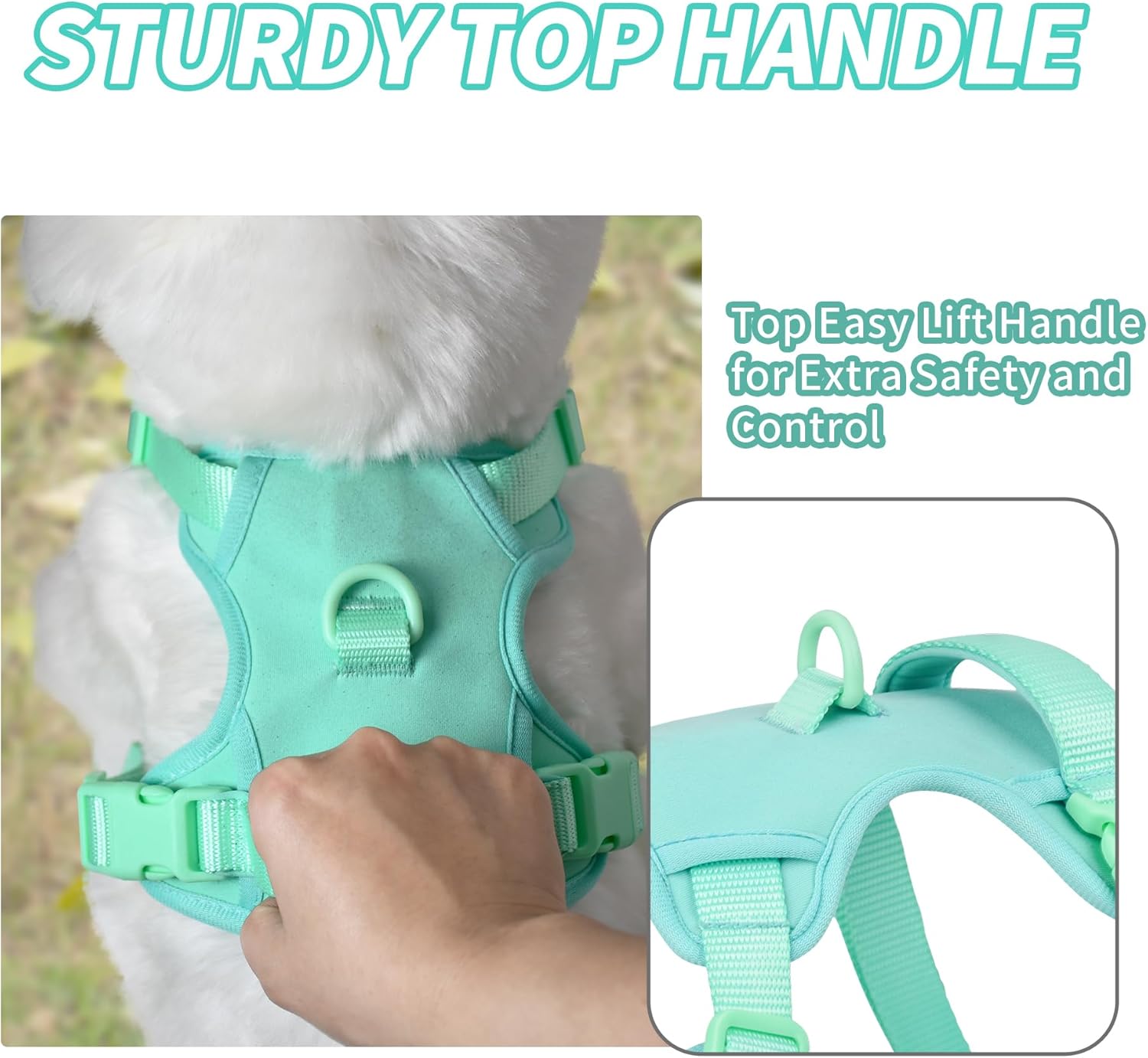AIITLE Comfortable Dog Harness for Walking - Lightweight Pet Harness with 2 Leash Clips and Soft Padded Handle, Adjustable No Pull Pet Supplies for Puppy Small Dogs Green XS