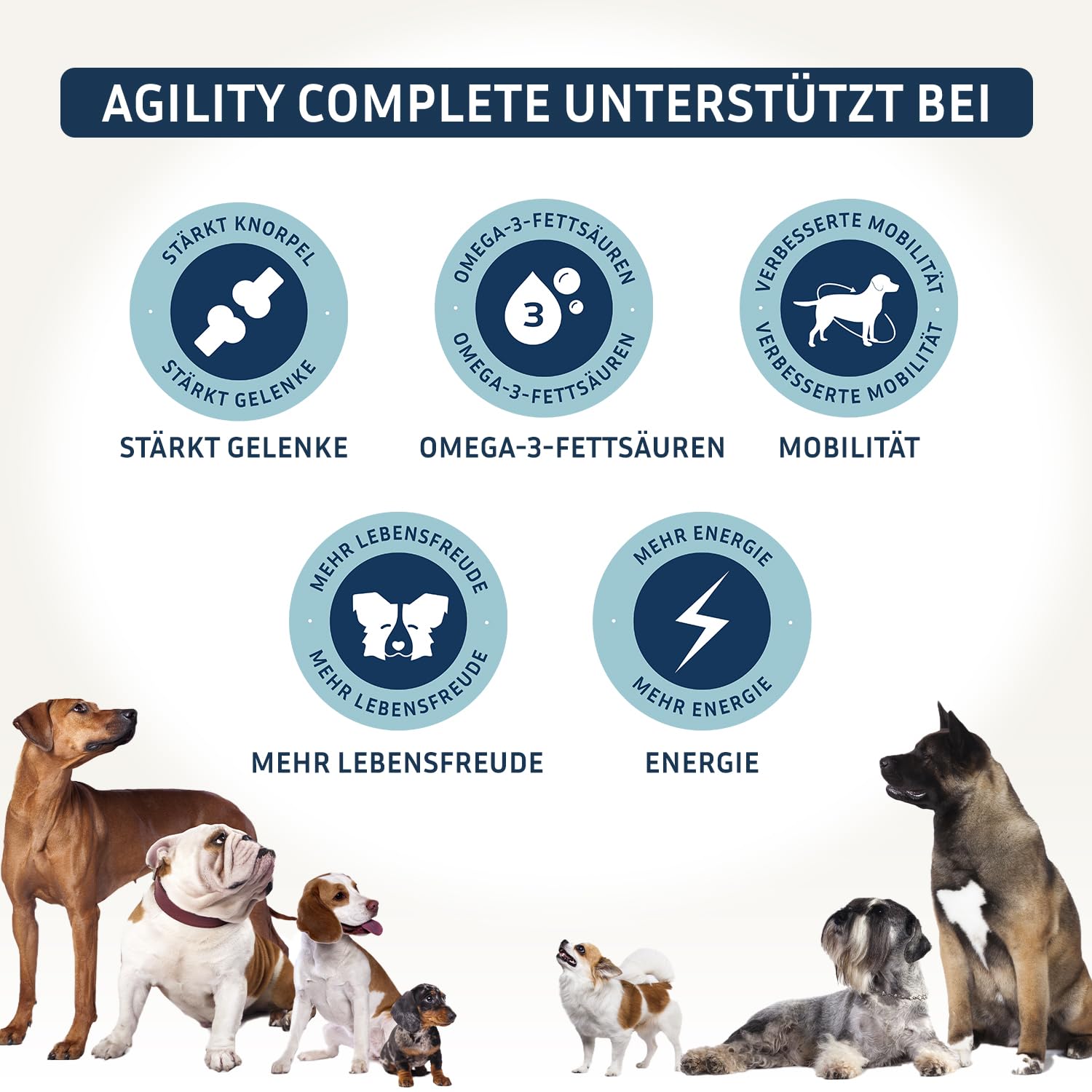 PetFokus Vital Formuła Plus | wspomaga trawienie, promienne futro, energię i witalność | suplement karmy dla psów | witaminy, minerały i substancje roślinne I probiotyki i omega-3 | pyszny smak
