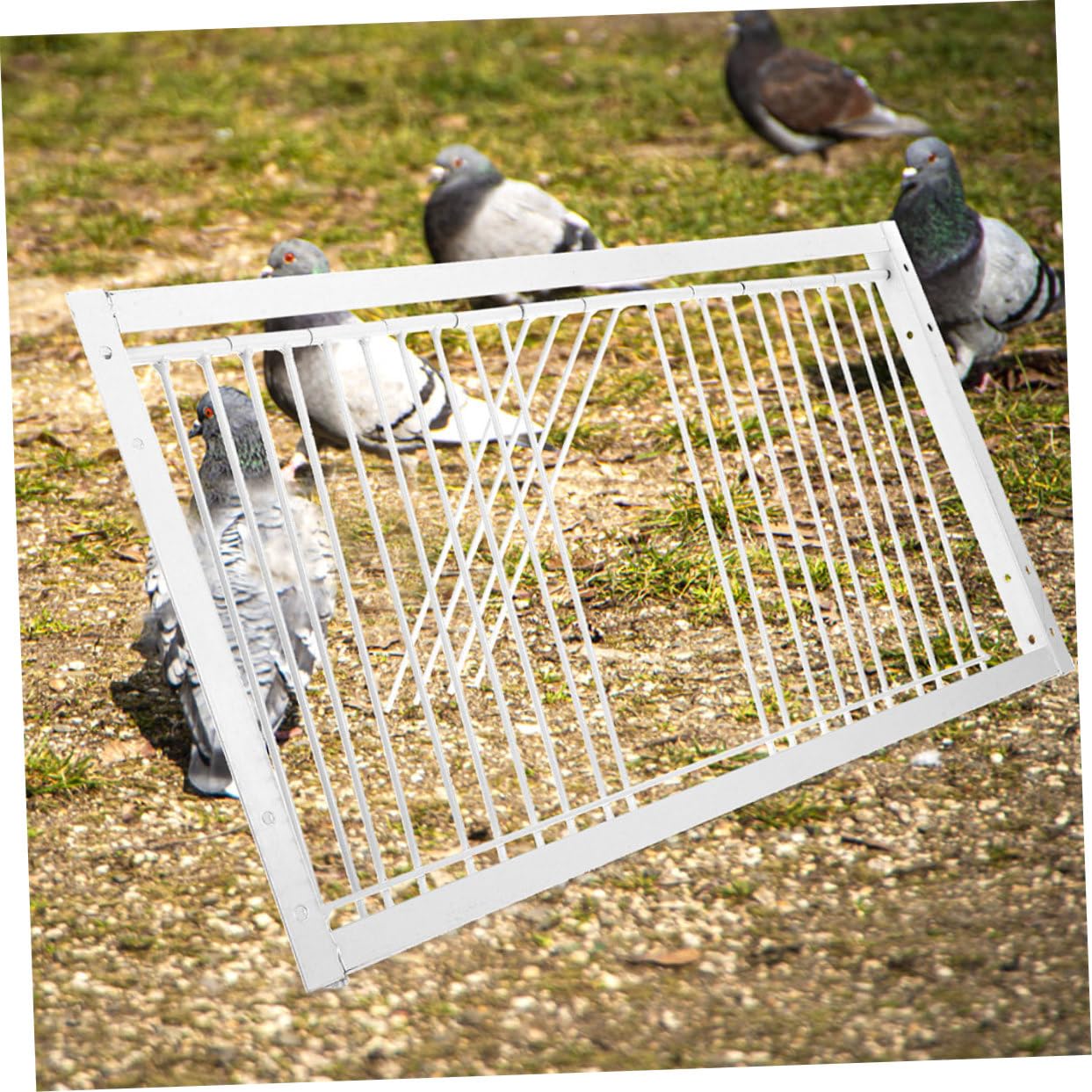 SUPVOX Puertas para Jaulas de Palomas Reforzadas 50 Cm Puerta de Hierro para Caseta de Paloma Suministros para Jaulas de Pájaros en Granjas y Patios para Aves de Corral