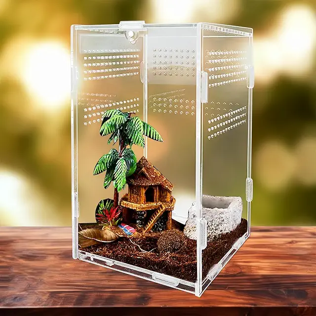 Plastic Terrarium Kit for Reptiles, Spiders, and Insects - 12x12x20cm