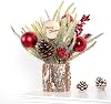 Small Table Top Christmas Tree with Lights, Mini Christmas Tree Decorations with Reindeer Pine Cones Berries Lamb Leaves Ornaments for Home Party Office Indoor Decorations 12Inch, Black & White Plaid