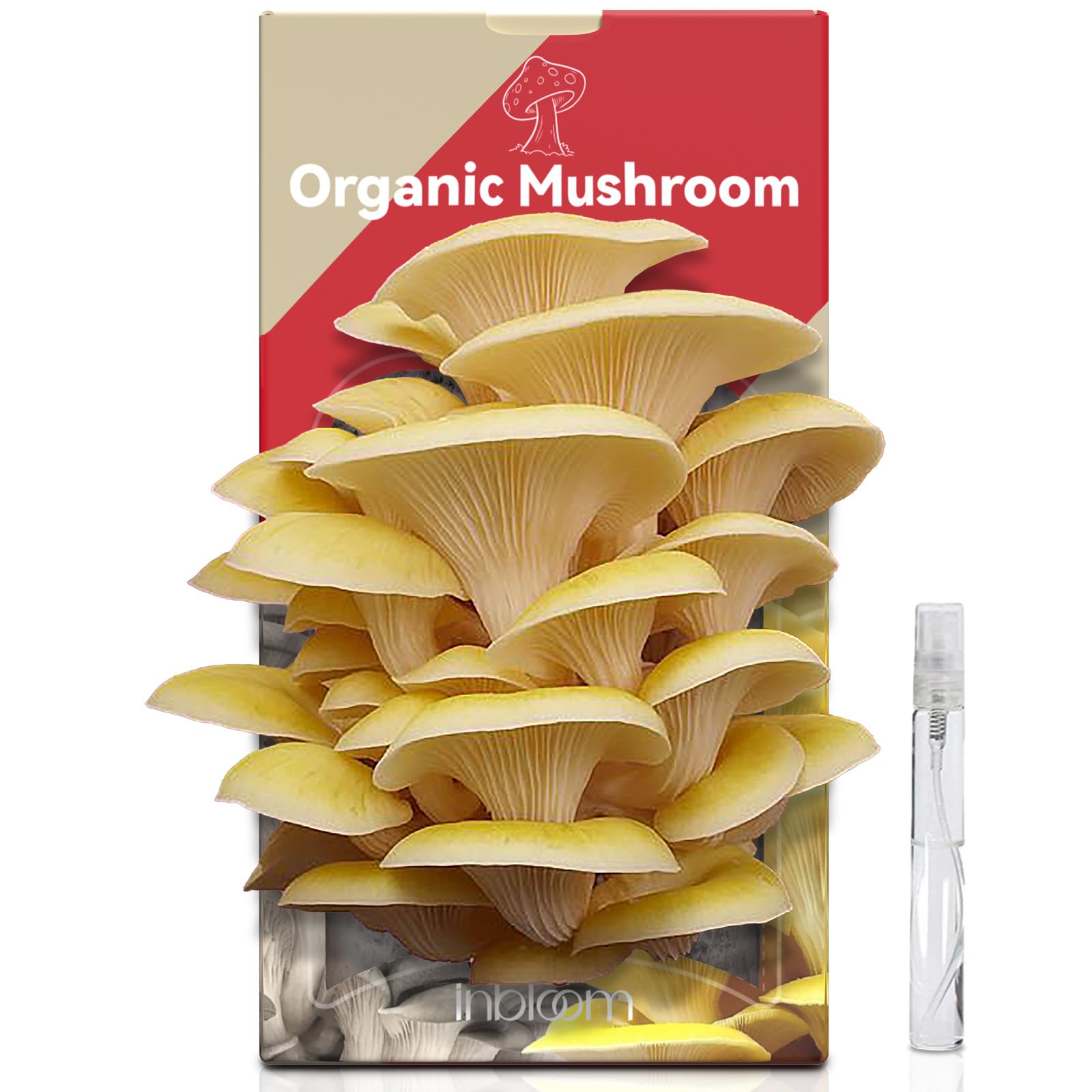 inbloom Large Organic Golden Oyster Mushroom Growing Kit, Beginner-Friendly Yellow Mushroom Grow Kit, MD USA Non-GMO Mushroom Kit, Harvest Mushrooms in 10 Days at Home
