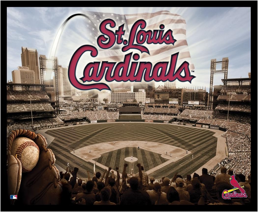 MLB St. Louis Cardinals Artissimo Team Glory 22x28 Canvas Art