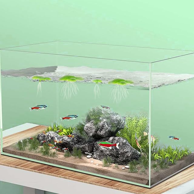 Foto 4 de 6 de ZLKRHAK 2 paquetes de 36 unidades en total de lentejas de agua, plantas acuáticas, mini estanque