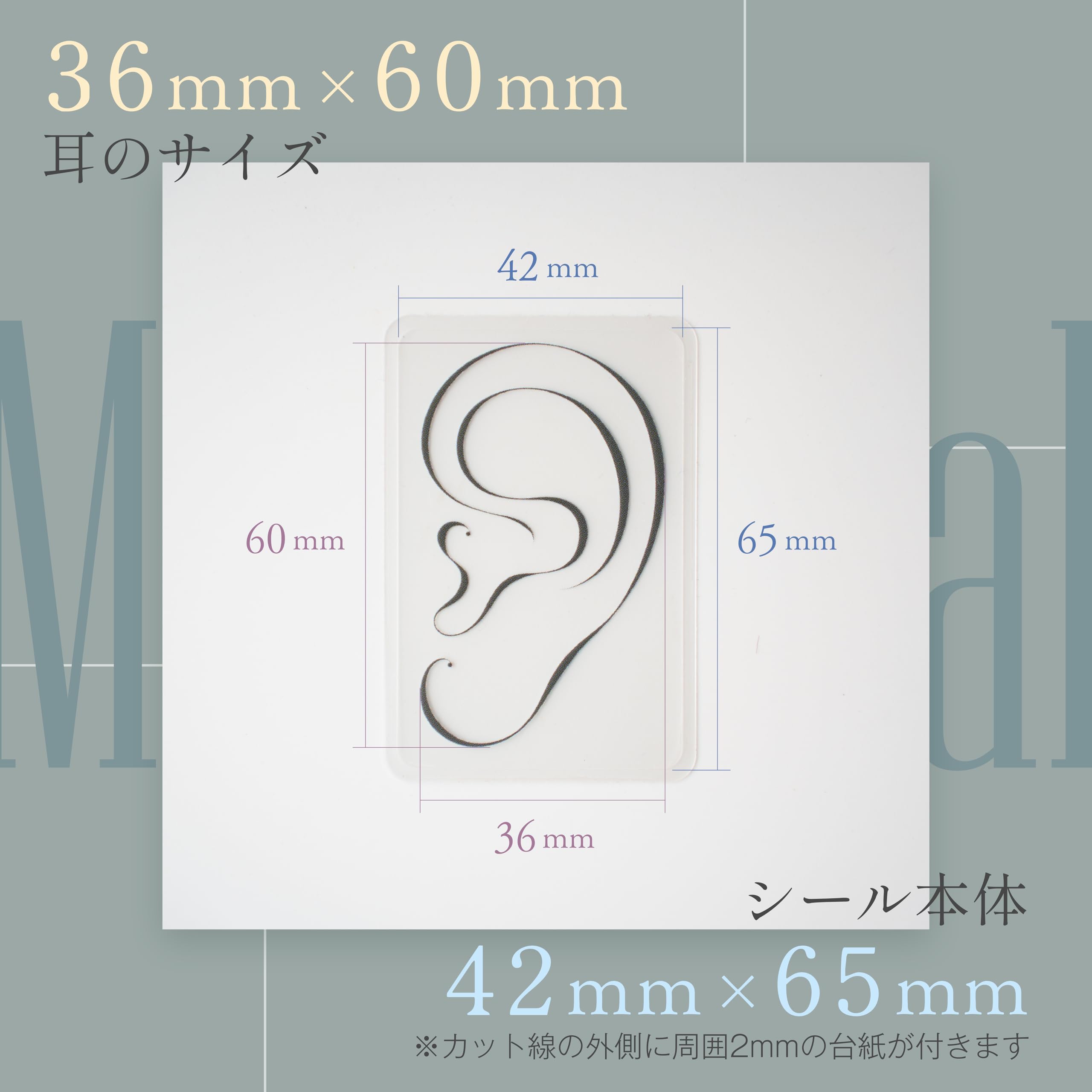 Amazon | 耳ツボジュエリー ディスプレイ用シール【5枚入り】業務用 耳