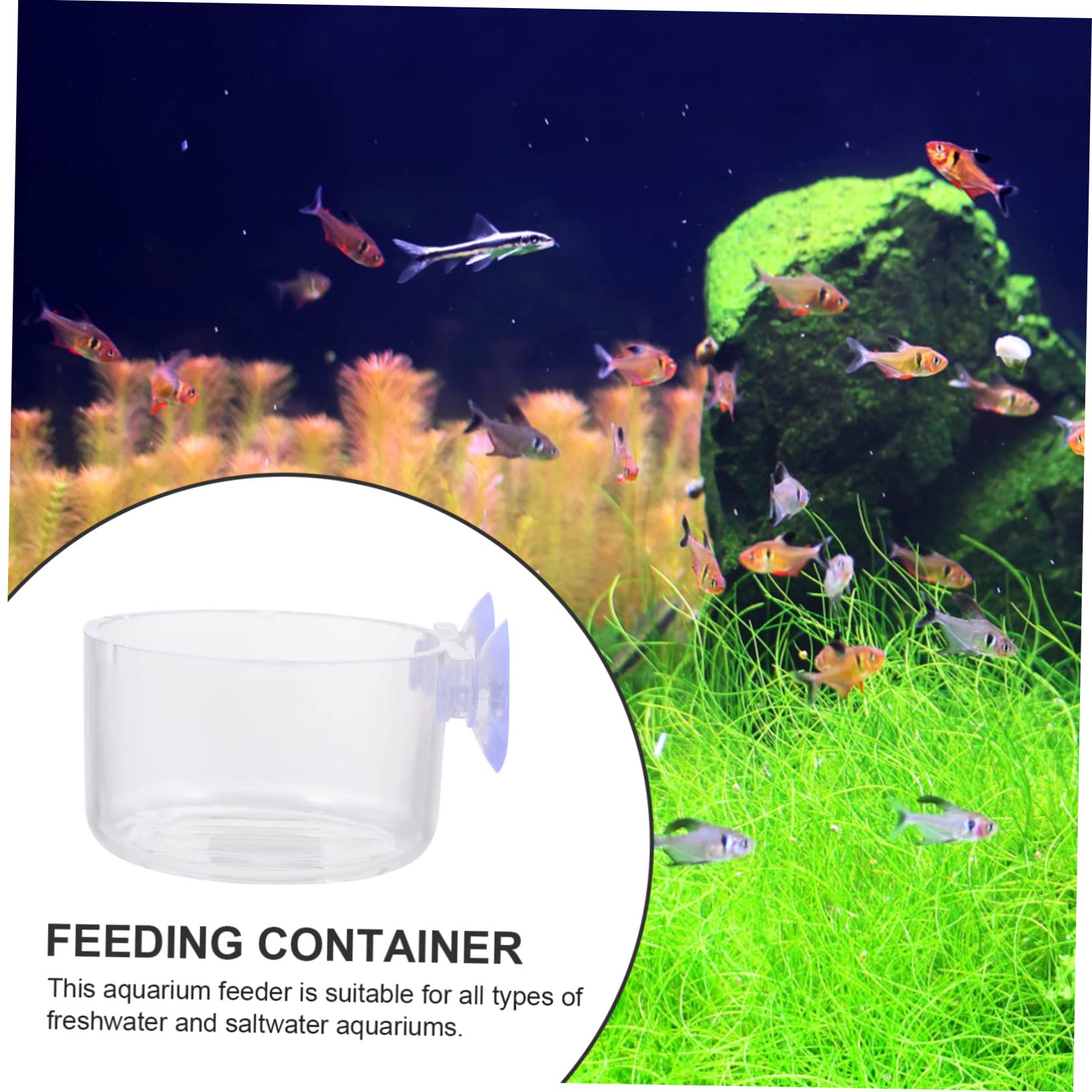 FOMIYES 16piezas Comedero De Acuario para Alimento De Peces Alimentador Transparente para Alimentos De Peces para Rojo y Rojo Diseño Compacto y Práctico para Peceras