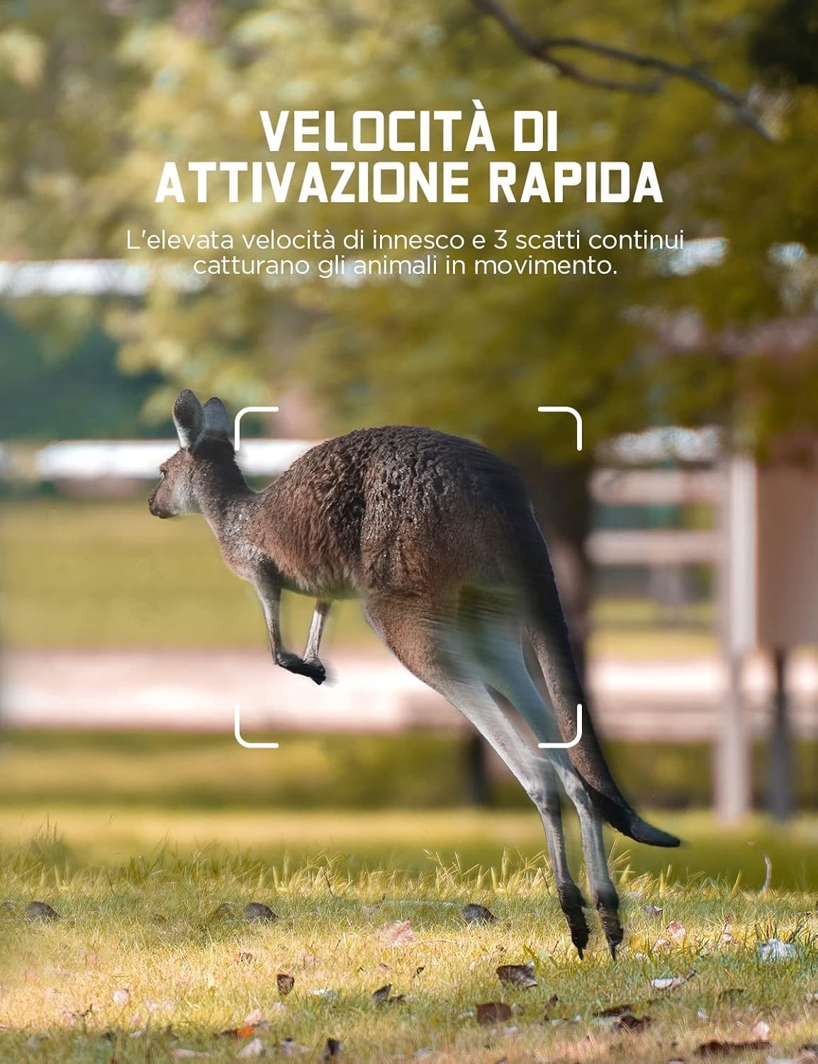 CEYOMUR Fototrappola 48MP 4K 30fps, Fotocamera caccia con IR Visione Notturna, Timer e Design Impermeabile IP66 con scheda SD da 32GB e batterie per la Caccia e l'osservazione la Fauna