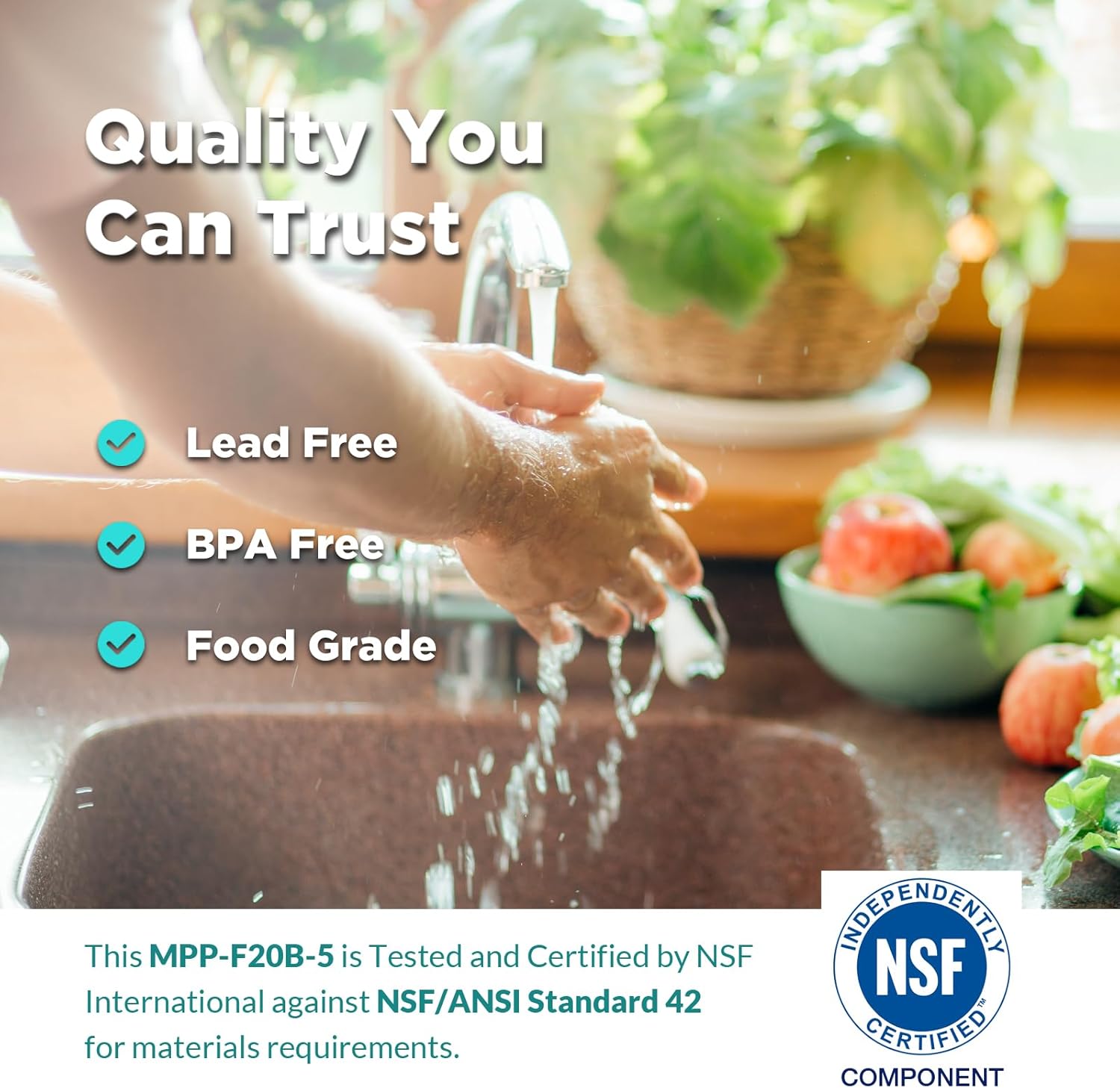 SimPure Sediment Water Filters, 5 Micron 20" x 4.5" Whole House Water Filter Replacement Compatible for SimPure DB20 Blue Housing, WGB22B, WGB32B, AP802, BB20B, BB20T, 2 Pack - Image 4