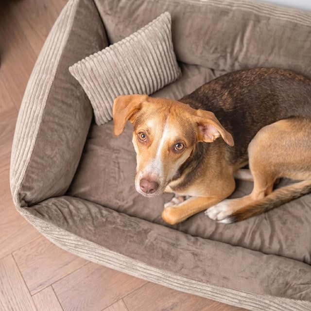 Foto 5 de 5 de 4L Textil Otto Acogedora Cama para Perro Funda Desenfundable y Lavable Cesta para Perro Cojín para Perro…