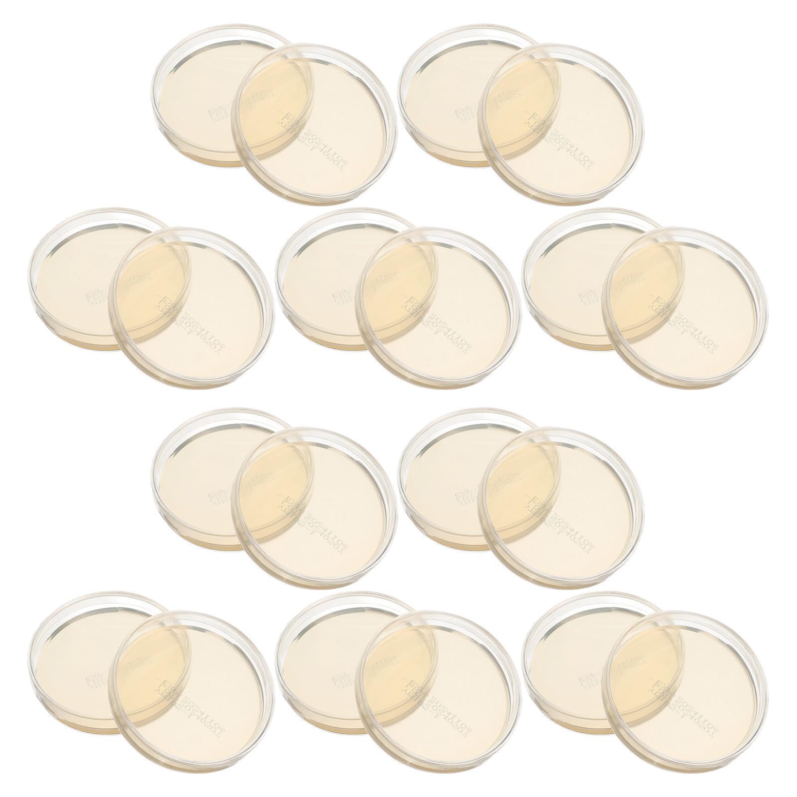 30 Stück Mikrobiologische Petrischale 7cm mit Agar, Vorgegossen