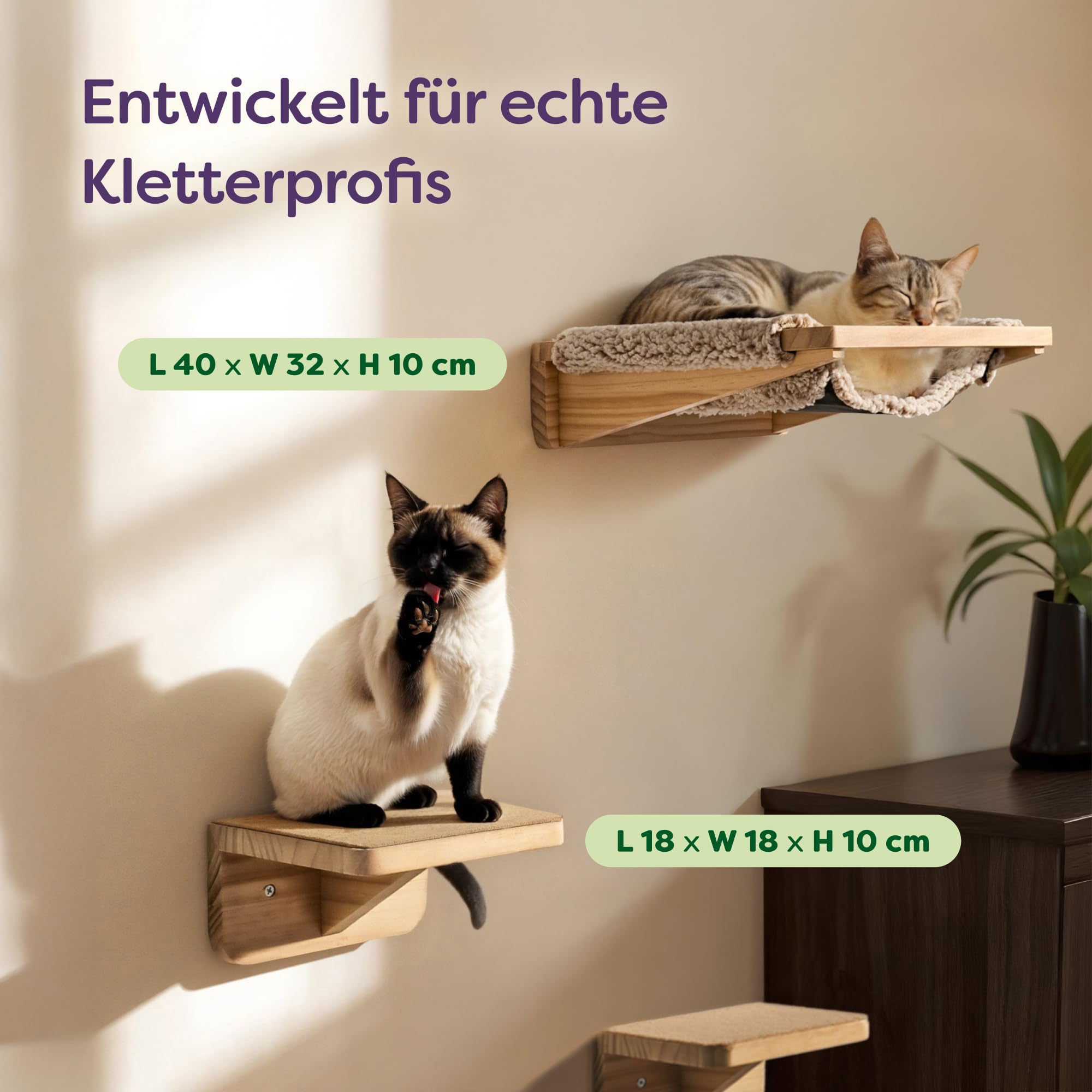 Knupis Katzen Kletterwand Set mit Hängematte & 2X Katzentreppe – massives Kiefernholz, stabile Wandliege bis 30 kg – Für Spielspaß & Gemütlichkeit