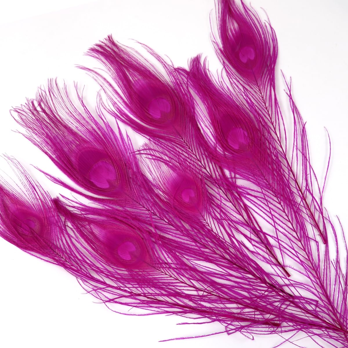 12PCS Rose Peacock Eye Feathers10-12 inch(25-30 cm) for DIY Craft, Wedding Holiday Christmas Decoration — image 1