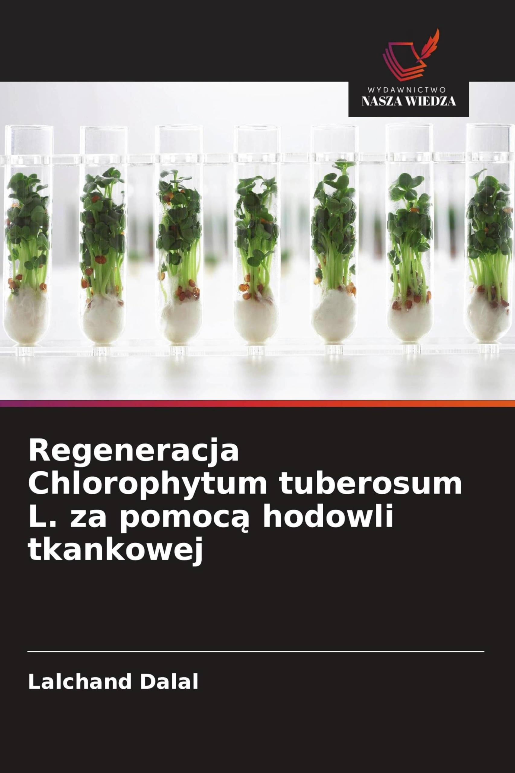 Regeneracja Chlorophytum tuberosum L. za pomoc¿ hodowli tkankowej