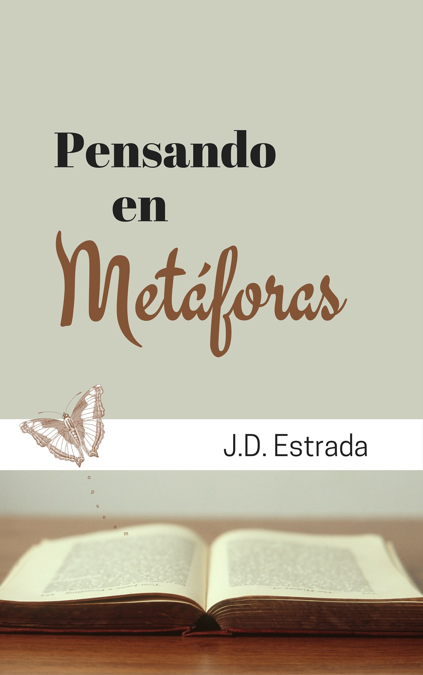 Pensando en Metáforas (Spanish Edition)