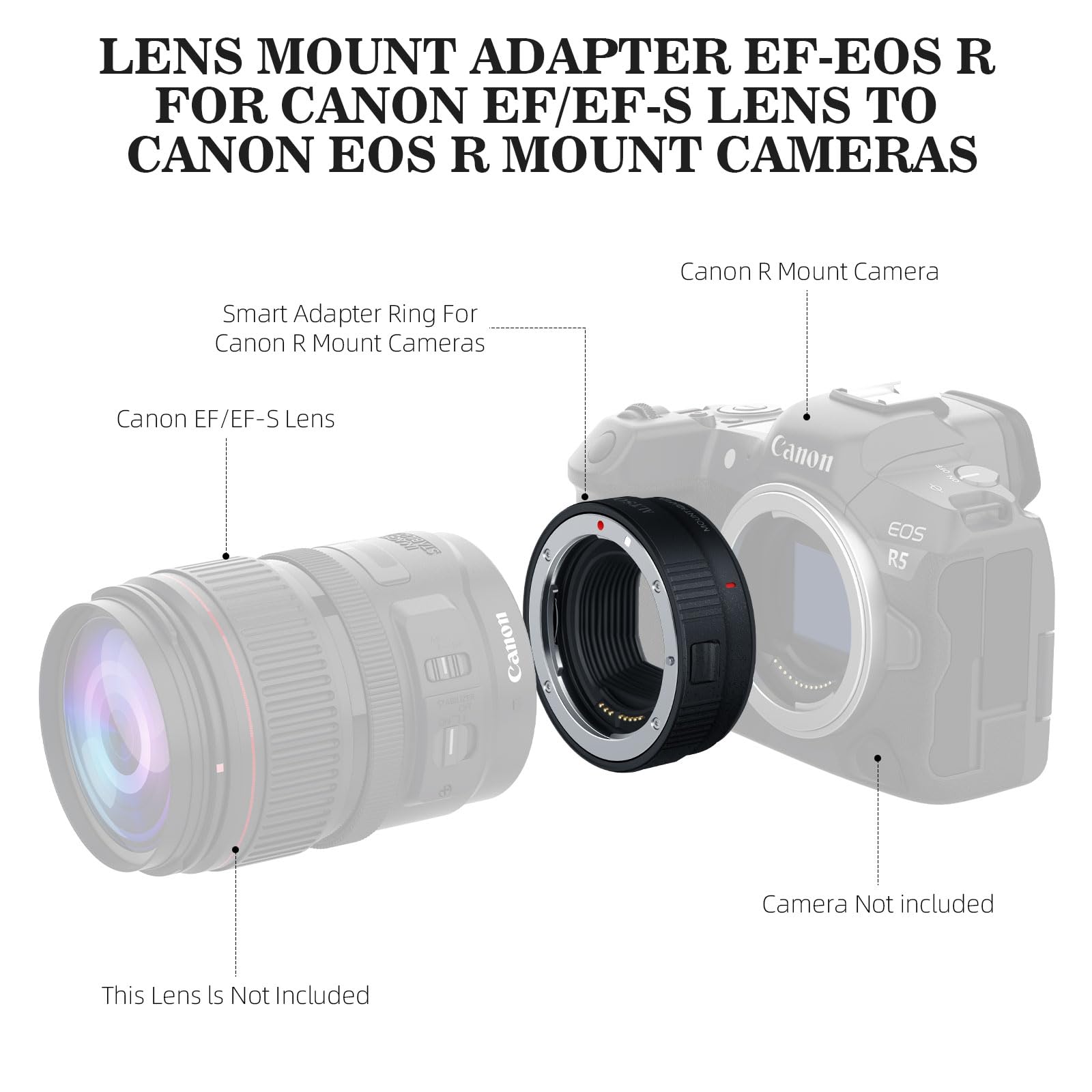 Amazon.com : EF-EOS R Auto Focus Lens Mount Adapter, Compatible