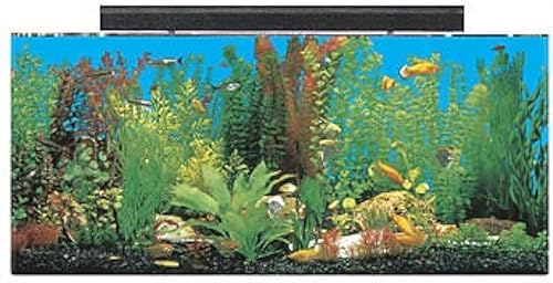 SeaClear Acuario acrílico System II de 30 galones, 36 x 12 x 16 pulgadas, negro