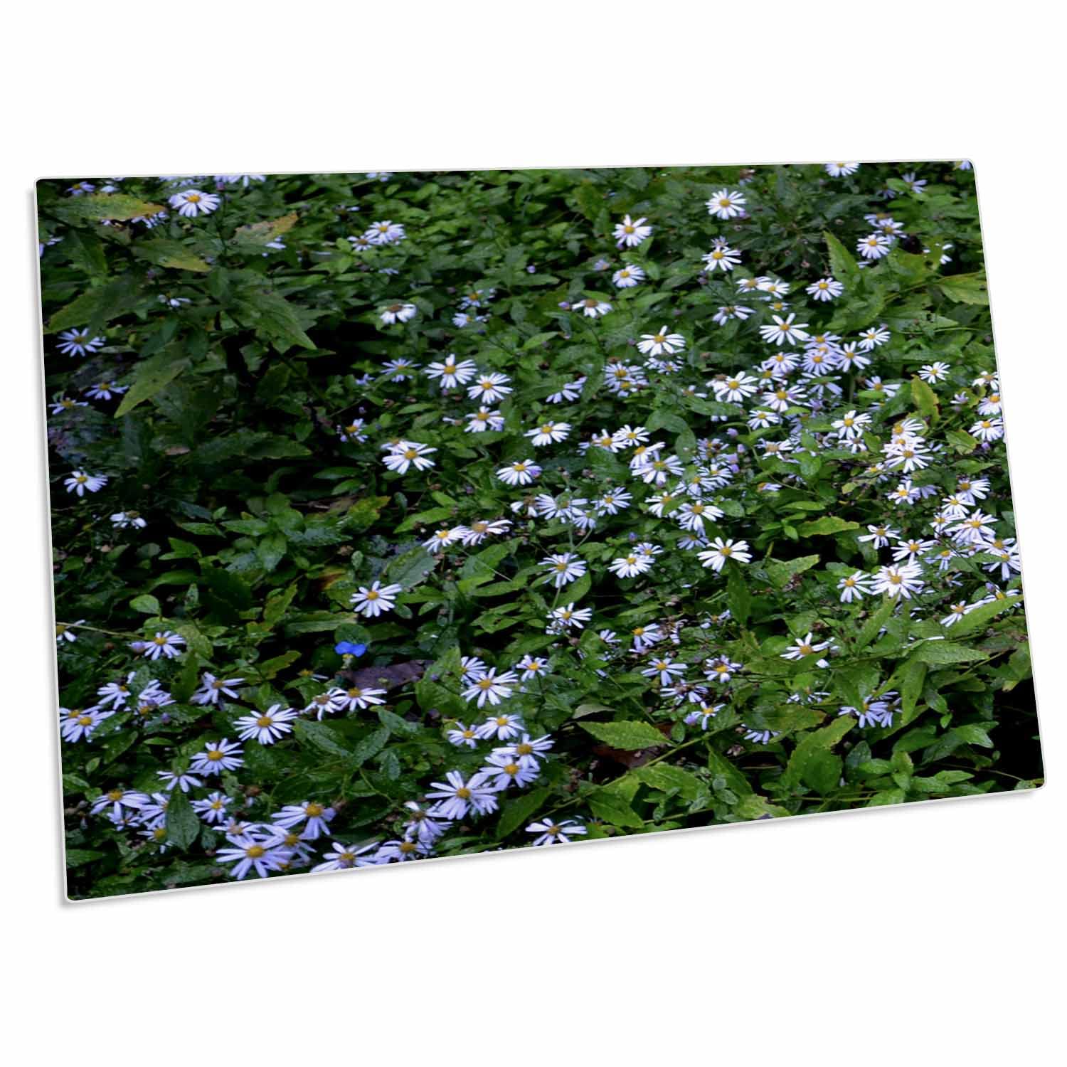 PPMD様 専用 sindufla.org.br