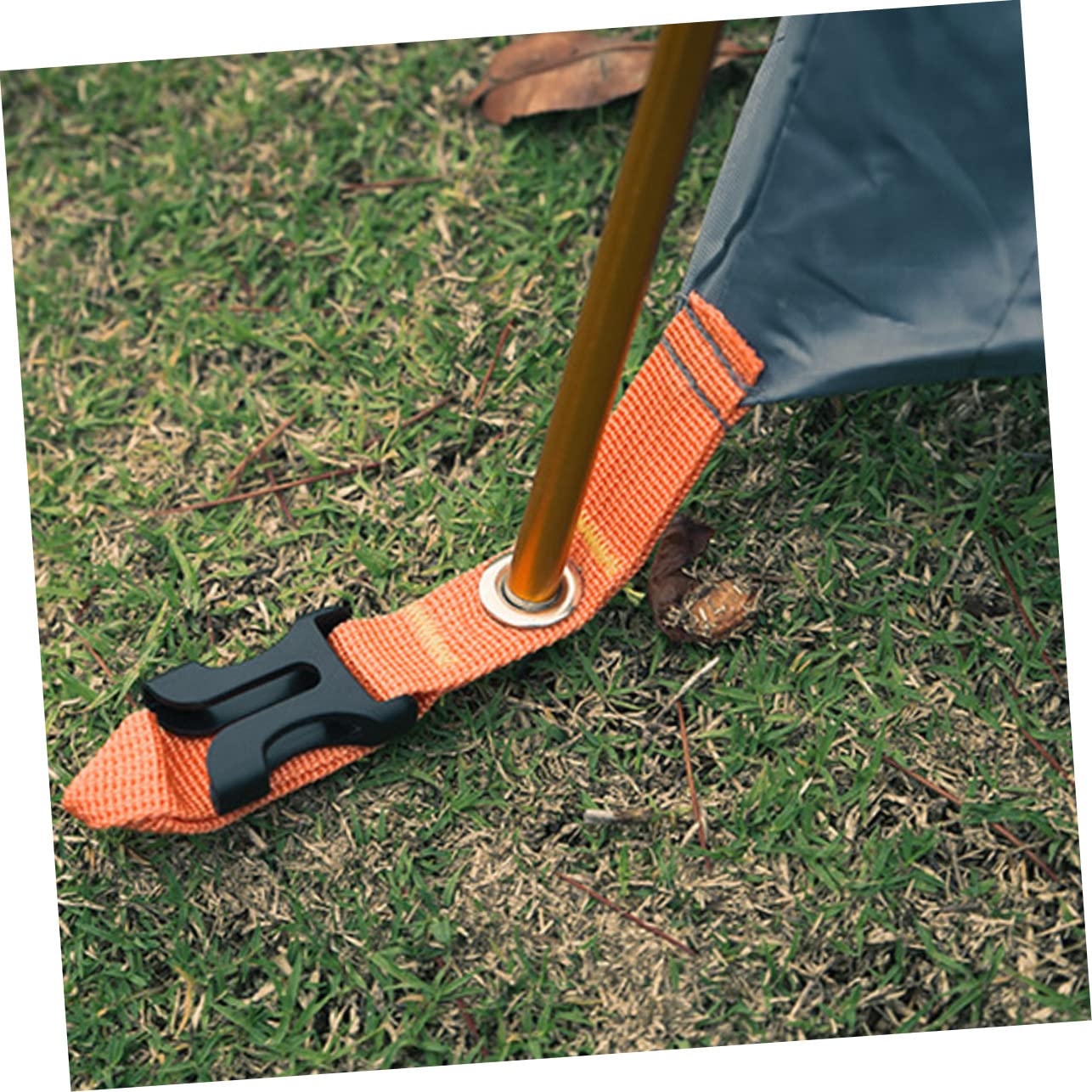 BESPORTBLE 2st Zeltstangen Pop-up-Zelt Tasche Für Zeltheringe Lager Camping-überdachungsstangen Zeltplane Campingstöcke Für Tarp Hängendes Zelt Regenfliege Für Zelt Aluminiumlegierung Golden