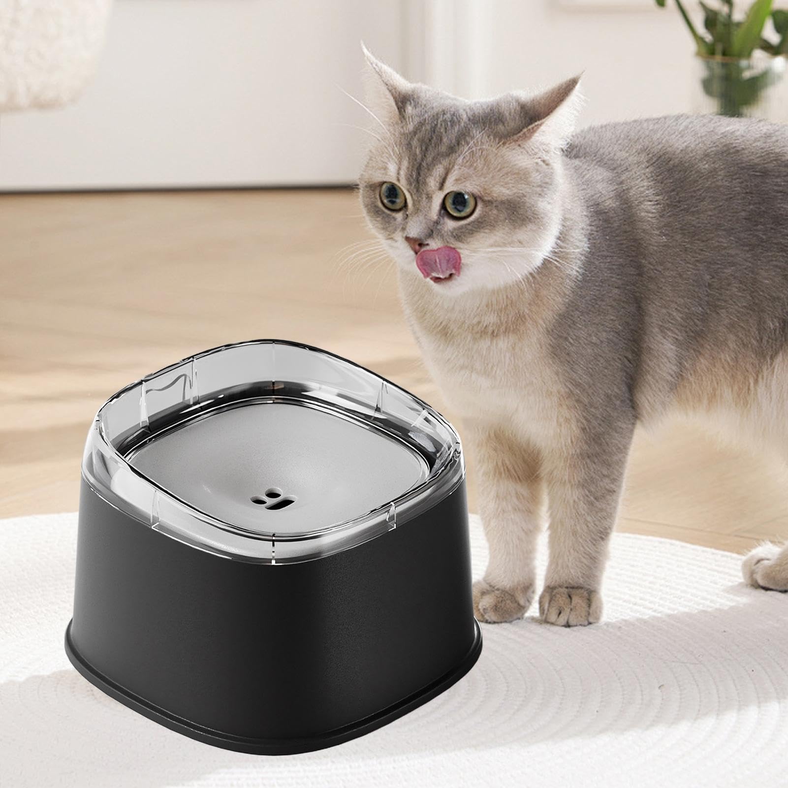 Gamelle d'Eau Anti-Débordement pour Chien Avec Disque Flottant Antidérapant | Gamelle d'Eau Anti-Éclaboussures pour Chien pour Intérieur Extérieur Maison