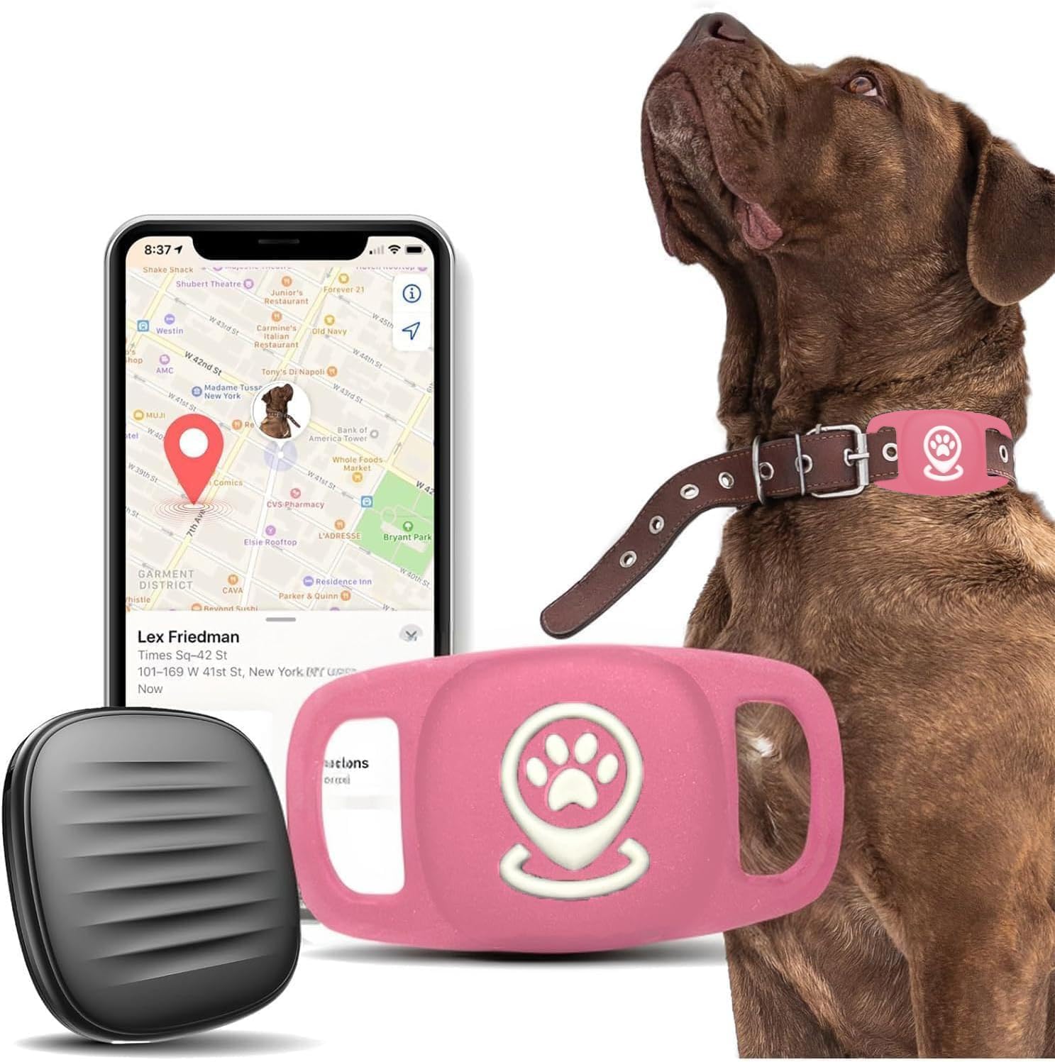 Pet Tracker for Dog, Tracker Smart Pet Location Tracker with Holder, Personalized Smart Item Finder, MFi Certificated Dog Tracking Device, No Monthly Fee, Works with Find My(iOS Only) (Pink)