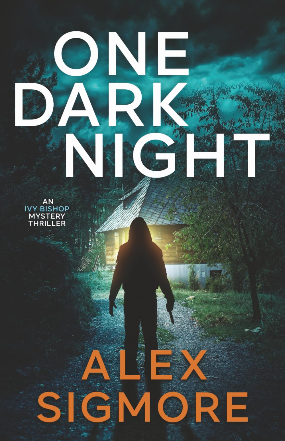 One Dark Night: 5 (Ivy Bishop Mystery Thriller)
