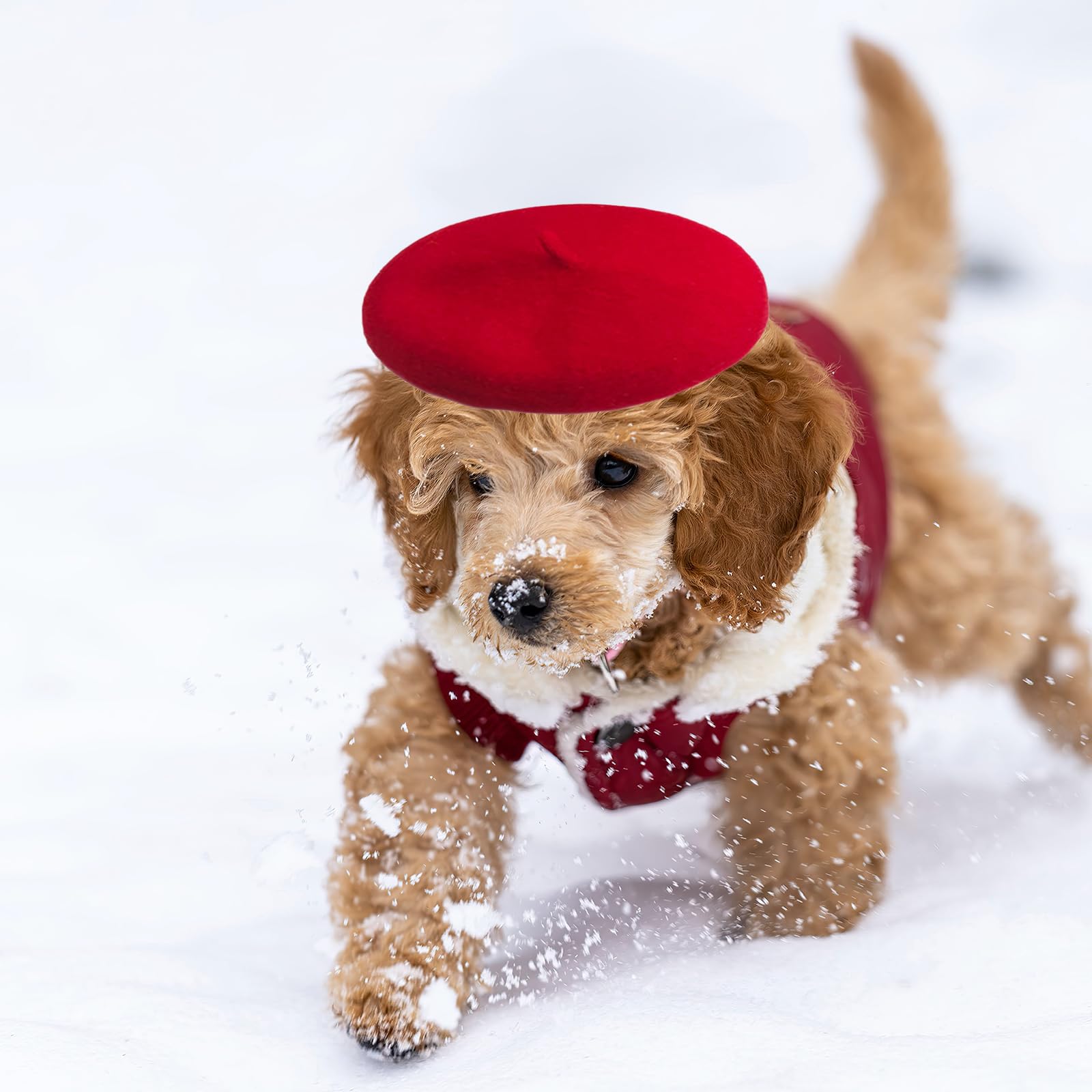 Boina de lana para perro y gato, lindo gorro de orejeras para perro, diadema, boina francesa para perro, gato, disfraz de Navidad, accesorio para el pelo, accesorios para fotos (rojo, talla única)