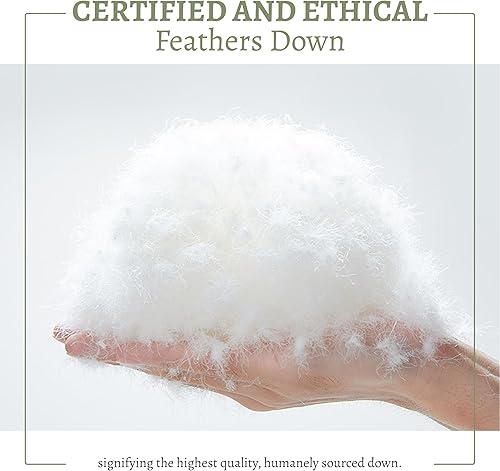 Miniatura 7 de Edredón de plumas tamaño Queen, edredón de cama estilo hotel, 750+ potencia de relleno, 1200 hilos, tela de algodón 100% orgánico, relleno de