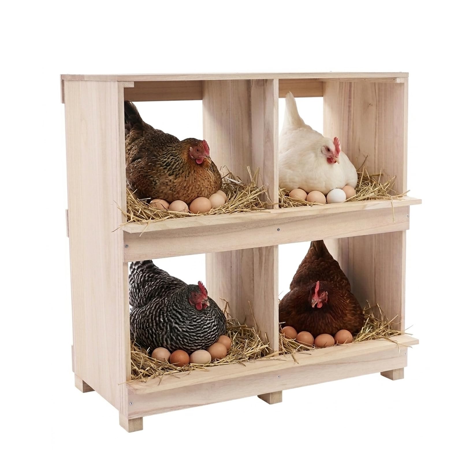 Galline Legenest 4 scomparti, contenitore in legno con fessure di ventilazione su entrambi i lati, nido isolante per pollaio, deposizione sicura delle uova e clima ottimale per polli e pollame