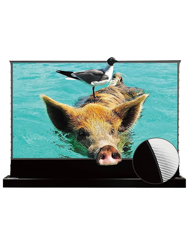 プロジェクター VIVIDSTORM S PRO 120 inch VIVIDSTORM-Projector Screen S PRO 120 inch Portable Folding